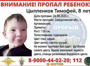 В Свердловской области пропал 8-летний ребёнок