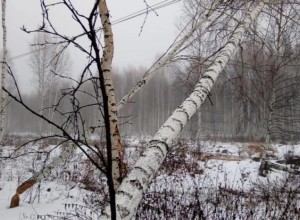 Жители поселка под Екатеринбургом остались без света и воды