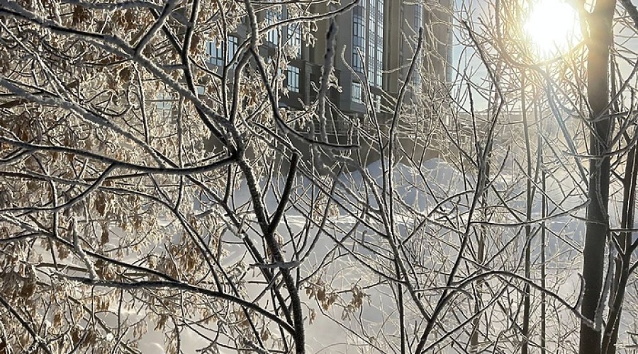Синоптики сообщили, когда 40-градусные морозы уйдут из Свердловской области