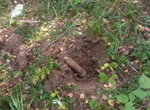Саперы уничтожили найденный грибниками на Урале артиллерийский снаряд