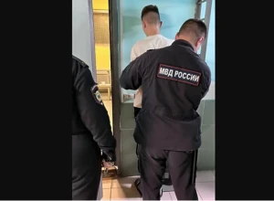 На Урале огласили приговор подростку, который пытался убить в поле знакомую девочку