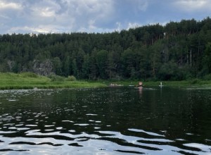 В уральском озере обнаружили холеру