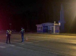 Пожилая жительница Камышлова погибла под колесами невнимательного водителя