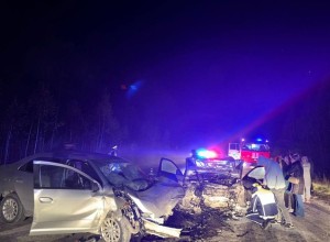 Водитель Mercedes-Benz спровоцировал аварию с двумя погибшими на трассе около Режа