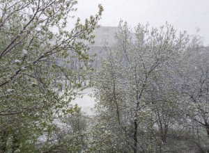 До -10 градусов: в Свердловской области вновь ожидается похолодание