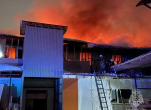 В Арамиле загорелся цех по производству еды для «Жизньмарта»
