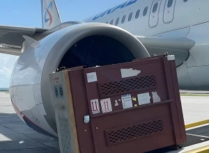 Самолет «Уральских авиалиний» прилетел в Екатеринбург с медвежатами 