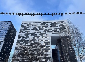 Синоптики рассказали, когда в Екатеринбурге потеплеет до +9 °С