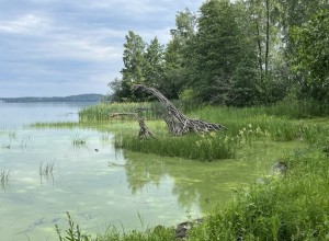 Ученый сообщил, каким станет климат на Урале