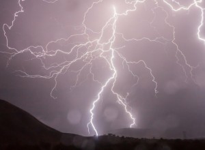 Молния убила свердловчанку, спрятавшуюся под деревом