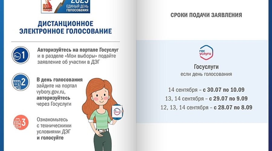 Менее 10% жителей Свердловской области будут голосовать на выборах губернатора по Интернету