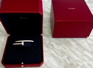 Драгоценности Cartier за 7 млн рублей обнаружили таможенники Кольцово на руке у пассажира из Баку