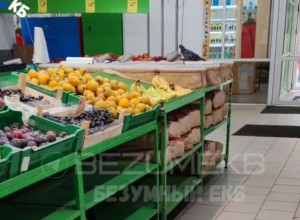 Ещё один голубь посетил продуктовый магазин Екатеринбурга