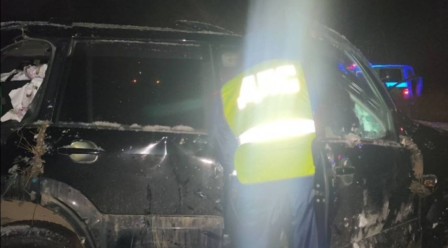 В Свердловской области женщина погибла в ДТП по вине пьяного сына за рулём