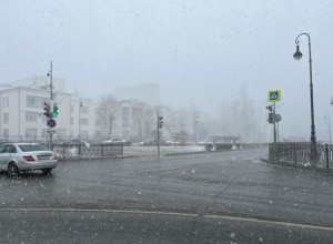 Весна на паузе! Главный уральский синоптик заявила, что в Екатеринбург никак не придет потепление