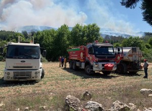 Длительность пожара на популярном у россиян курорте Турции превысила 36 часов