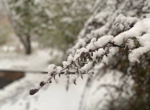 Стало известно, когда потеплеет в Свердловской области