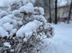 В части Уральского федерального округа ударят морозы