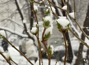 Новое похолодание ждет Свердловскую область в скором времени