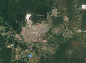 Дикий зверь или жестокий маньяк? В свердловском городе обнаружена голова женщины