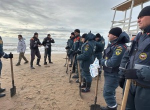 На побережье Керченского пролива появились птицы, увязнувшие в мазуте