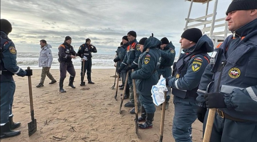 На побережье Керченского пролива появились птицы, увязнувшие в мазуте