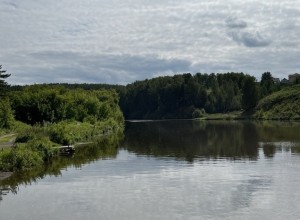 В Екатеринбурге из пруда выловили труп
