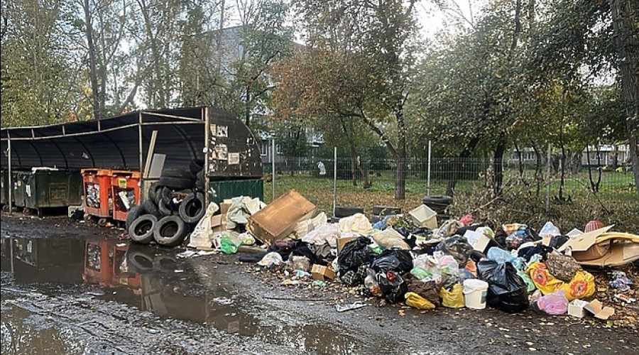 Свердловчанам пообещали усилить вывоз мусора на Новый год