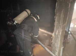В пожаре на Синих Камнях погибла пенсионерка и ее кот