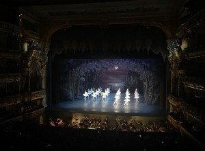 Даже по 12 тысяч! Екатеринбуржцы разобрали дорогущие билеты на «Лебединое озеро»