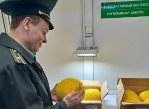 Уральские таможенники рассказали, чьи дыни едят свердловчане