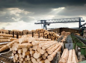 Финский леспром выступил за запрет экспорта пиломатериалов в Японию из РФ