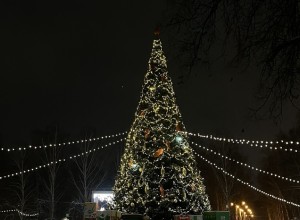 Стало известно, какая погода будет в Свердловской области в новогоднюю ночь