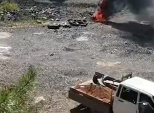 Под Екатеринбургом прямо на покрышках сжигают туши диких животных