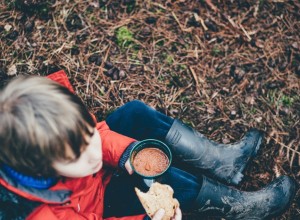 В России 8-летний мальчик сбежал из дома после урока «Разговоры о важном»