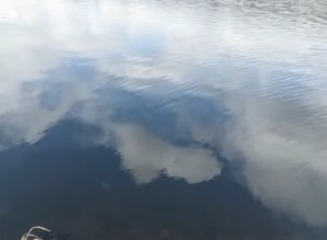 В водоеме под Екатеринбургом утонула полуторагодовалая девочка