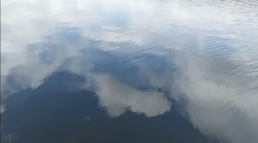 В водоеме под Екатеринбургом утонула полуторагодовалая девочка