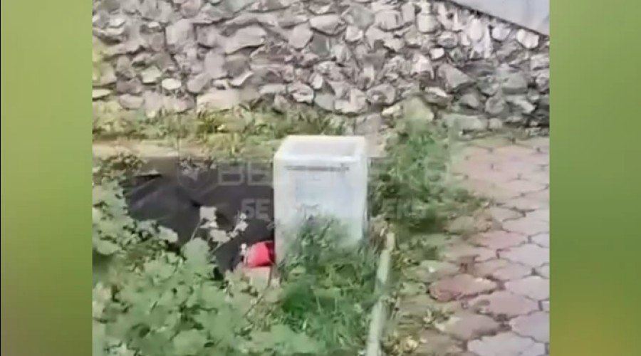 В Екатеринбурге девушка выпала из окна