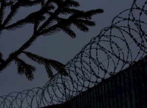Свердловский суд отказался выпускать на свободу экс-пожарного, осужденного по делу «Зимней вишни»