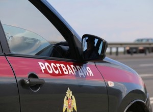 СМИ: в свердловскую Росгвардию нагрянула проверка из столицы
