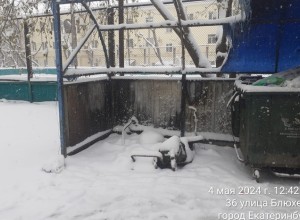 Екатеринбуржцы сожгли 40 контейнеров для мусора и сломали ещё 70 баков