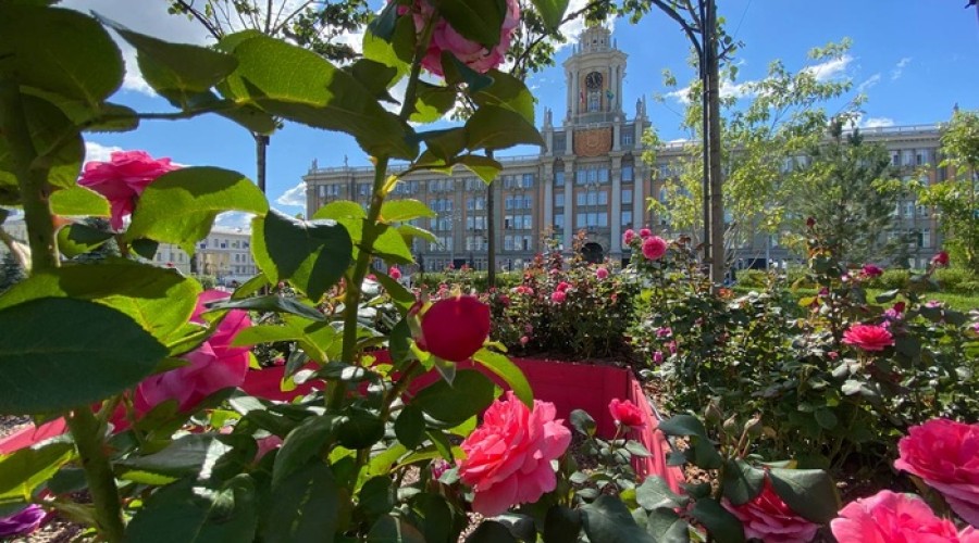 Центр Екатеринбурга вновь превратили в прекрасный сад