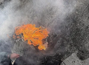 В Свердловской области устроят массовые облавы на любителей шашлыков