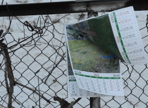 В Свердловской области похолодает до -15. Но днём станет резко тепло