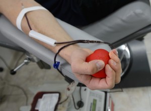 Учёные встревожены из-за мигрантов с диагностированным ВИЧ в Свердловской области