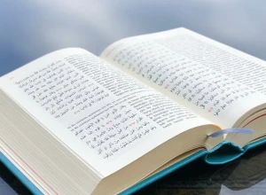 Стало известно, зачем в российских школах вводят арабский язык