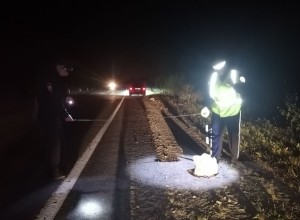 На Серовском тракте неустановленный водитель насмерть сбил 70-летнюю женщину