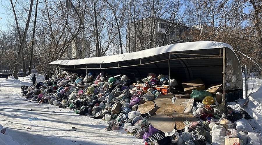 Свердловчанке пришлось отдать крупную сумму за неправильно выброшенный мусор