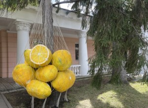 Стало известно, какая погода будет в мае в Свердловской области