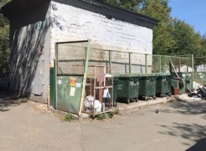 На Урале женщина кормила ребенка из мусорки